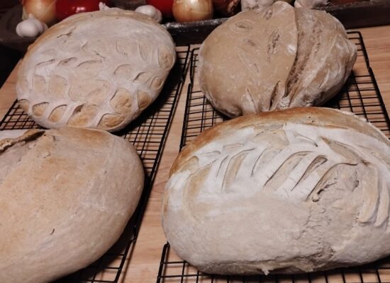 baked sourdough loaves resting on a counter top